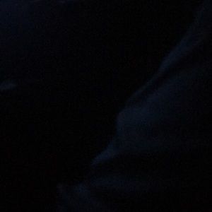 Meet your Posher, Damond